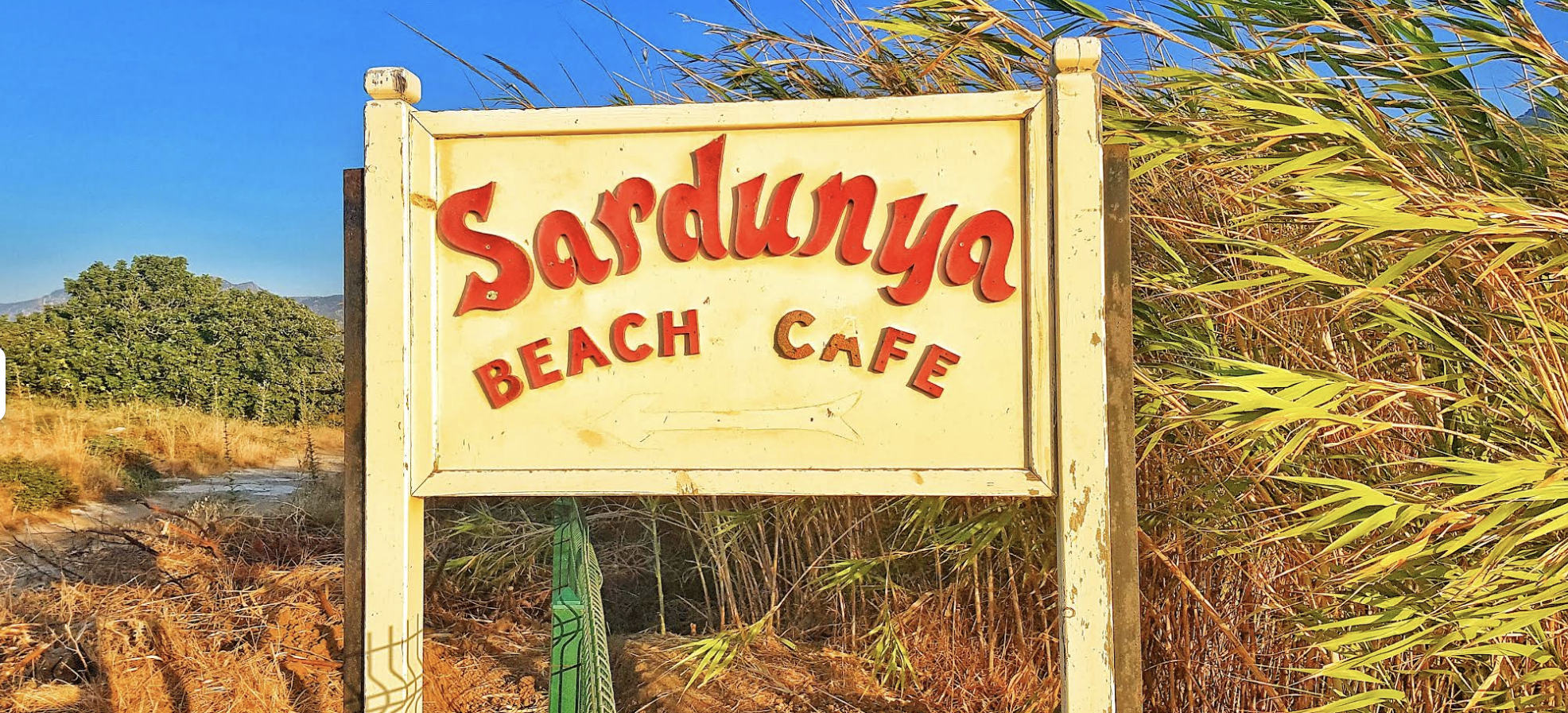 Sardunya Bay: Lapta’nın Saklı Cennet Plajı ve Müzik Durağı